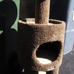 Another dead scratching post