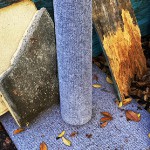 Another dead scratching post
