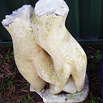 Garden statues                                                     